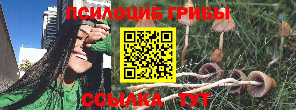 Белогорск  Галлюциногенные грибы Psilocybe  Вход с VPN 